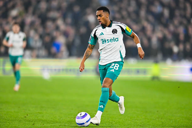 对平图斯体 对平图斯体